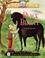 Go to record Black Beauty : abridged from the original by Anna Sewell