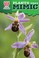 Go to record Plants that mimic