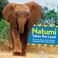 Go to record Natumi takes the lead : the true story of an orphan elepha...