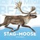 Go to record Stag-moose