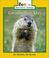 Go to record Groundhog Day