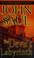 Go to record The devil's labyrinth : a novel