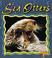 Go to record Sea otters